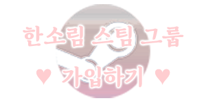 한소림 스팀그룹